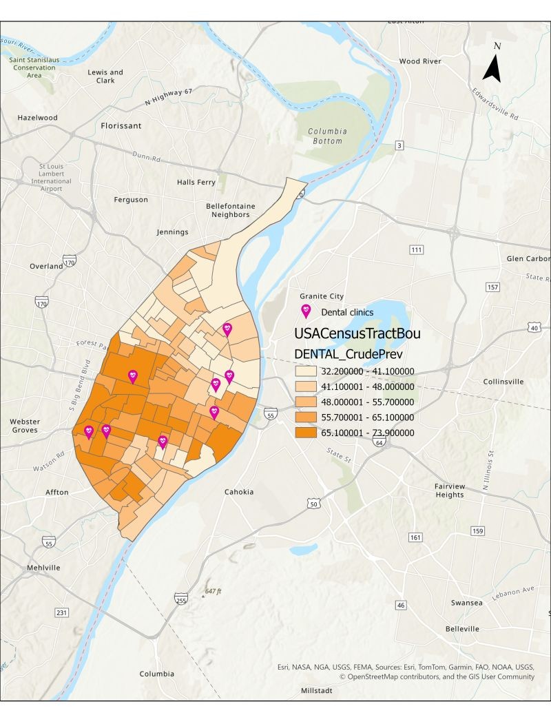 Dental visits St Louis City
